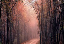 Bitcoin Prices Slide Below $85,000: Another Day, Another Dip - Crypto Bloodbath!