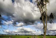 Bitcoin Prices Slide Below $85,000: Another Day, Another Dip - Crypto Bloodbath!