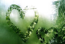 Bitcoin Prices Slide Below $85,000: Another Day, Another Dip - Crypto Bloodbath!