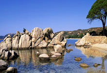 Bitcoin Prices Slide Below $85,000: Another Day, Another Dip - Crypto Bloodbath!